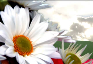 Weddings, Receptions, Bed and Breakfast